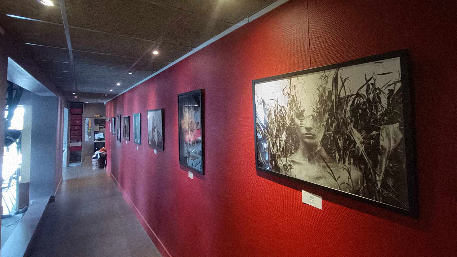 exposition kahinienn