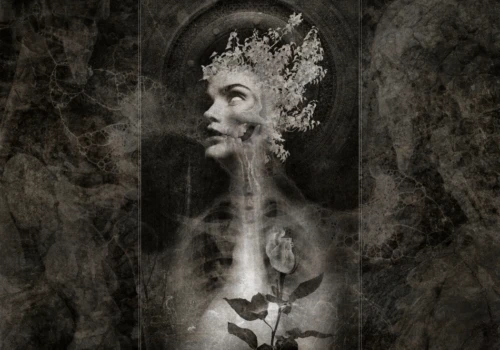 femme tenant une rose